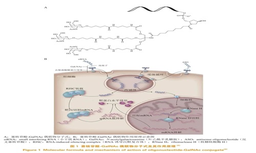 The Progress of Research on Oligonucleotide Conjugates