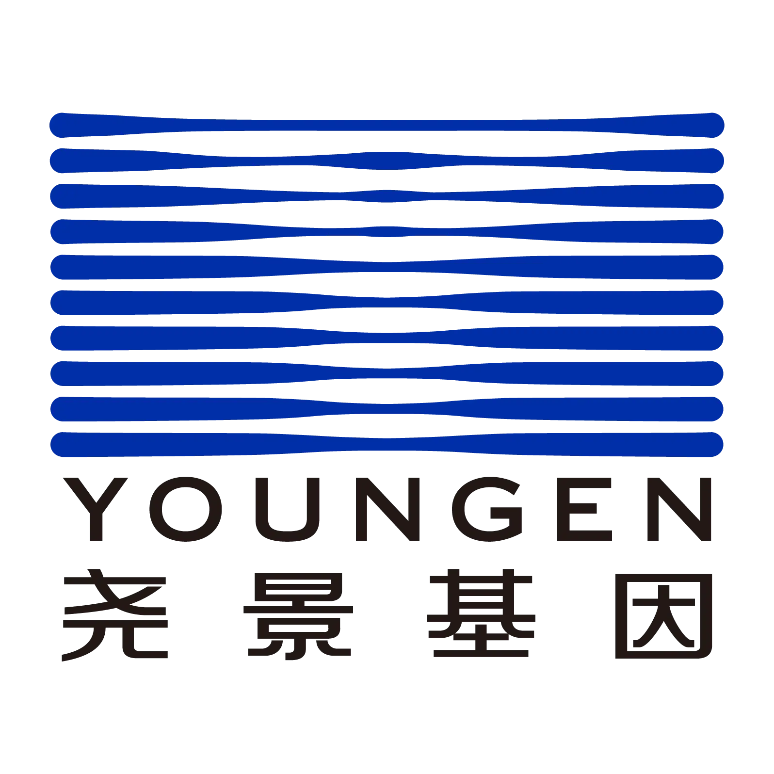 Beijing Youngen Technology Co., Ltd.
