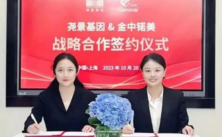 Beijing Hotgen Subsidiary and Jinzhongmei Reached a Strategic Cooperation