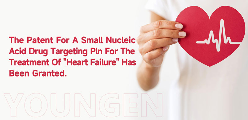 youngen-genes-small-nucleic-acid-drug-for-the-treatment-of-heart-failure-has-been-granted-patent1.jpg youngen-genes-small-nucleic-acid-drug-for-the-treatment-of-heart-failure-has-been-granted-patent1.jpg