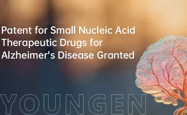 The Therapeutic Scope of Small Nucleic Acid Drugs