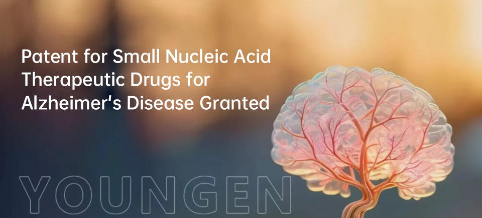 youngen-biotechnology-patent-for-small-nucleic-acid-therapeutic-drugs-for-alzheimers-disease-granted.jpg