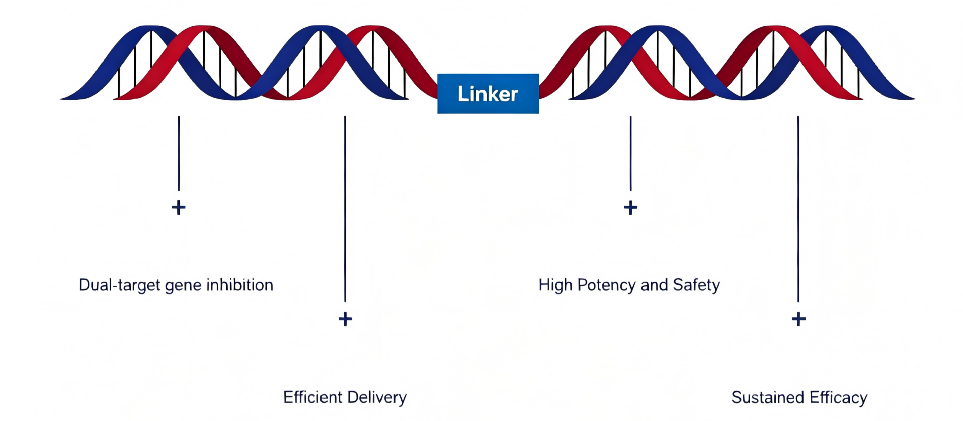 MULTI-GENES1_220×147.png